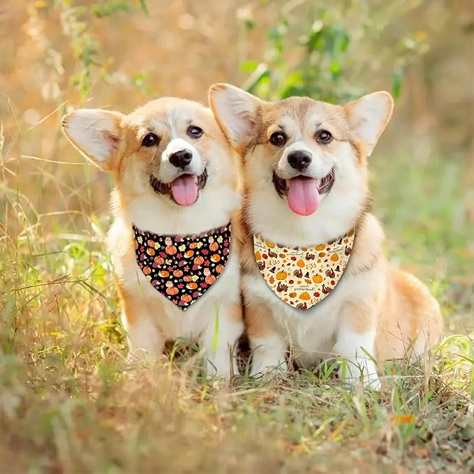 Fall Thanksgiving Dog Bandana Reversible 2 Pack Small, Pumpkin Turkey Leaves Fox Cute Thanksgiving Pet Bandanas for Dogs Adjustable Triangle Holiday Scarves for Small Medium Boy Girl Dogs