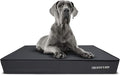 The Dog’s Bed Orthopedic Memory Foam Dog Bed, XXL Grey & Black, Waterproof, Supportive Dog Bed with Replaceable Covers, Veterinary Approved