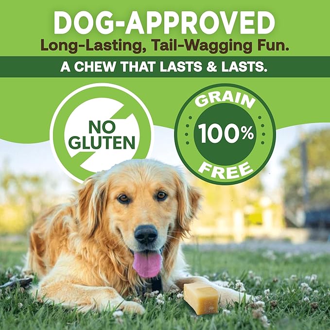 EcoKind Premium Gold Yak Cheese Himalayan Dog Chews, Healthy Dog Treats for Small Dogs, High Protein, All Natural, Long-Lasting Chew, Small - 4 Chews