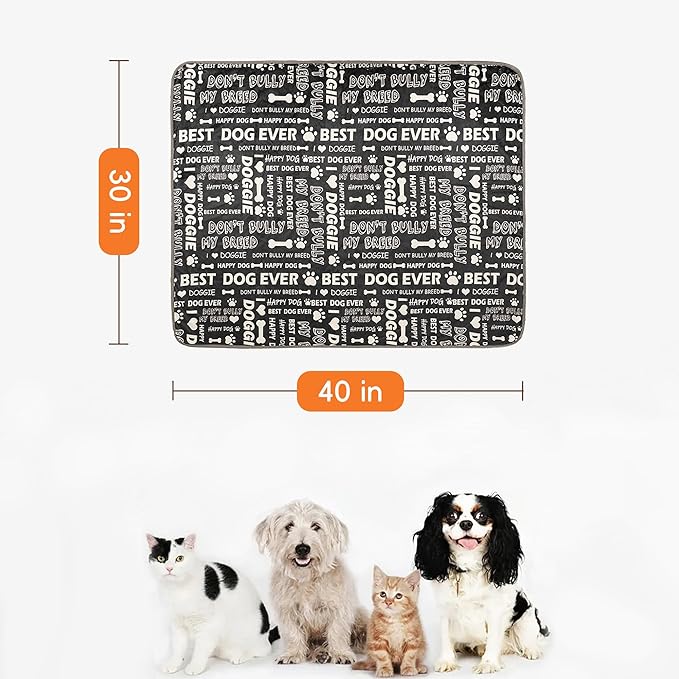 CAPT.SNOOZE Waterproof Dog Blankets Pet Blanket, 30"x40" Cat Blanket for Indoor Cats, Soft Fluffy Sofa Car Bed Protector, Reversible Sherpa Fleece Puppy Blanket for Small Medium Dogs(Letters)