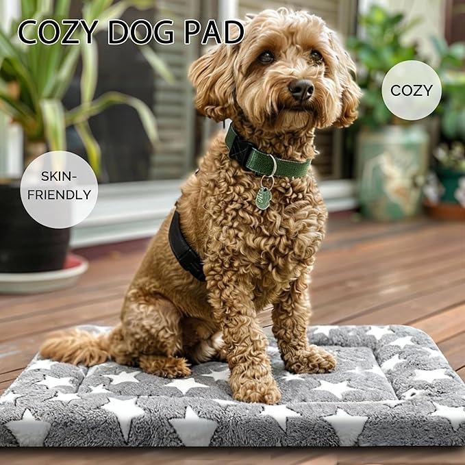 Fogkiss Dog Bed Mat, Reversible Crate Pad & Cute Dog Bed - Machine Washable Kennel Mat with Ultra Soft for Small Dogs (Cool/Warm), 24" x 18", Grey&Star