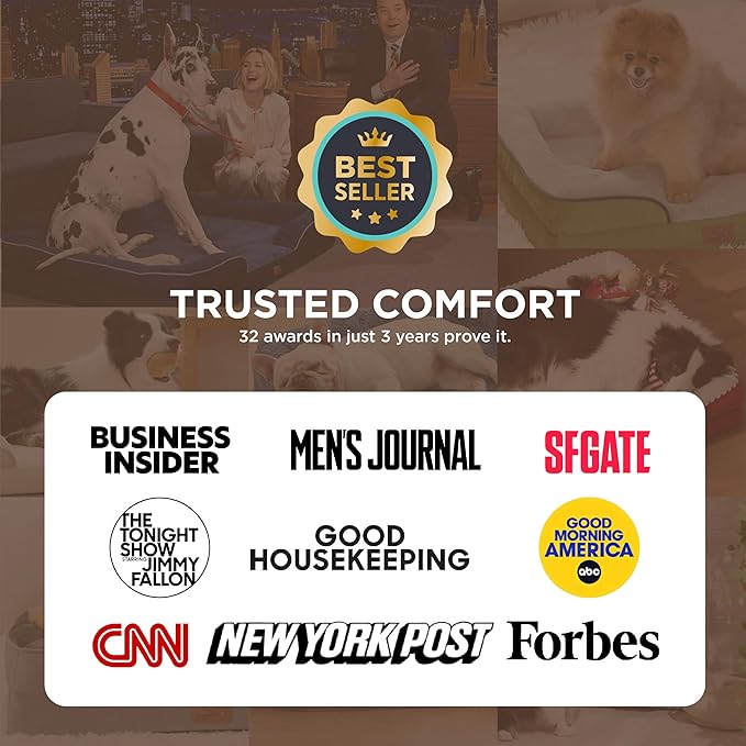 Bedsure Self Warming Orthopedic Dogs Bed for Small Dogs - Washable Small Dog Bed Waterproof, Comfort Pet Couch with Removable Cover, Pets Sofa with Nonskid Bottom, Grey, Non-Electric