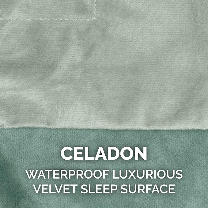 Furhaven Waterproof Throw Blanket for Dogs & Indoor Cats, Washable - Two-Tone Luxe Velvet Dog Blanket - Celadon Green, Small