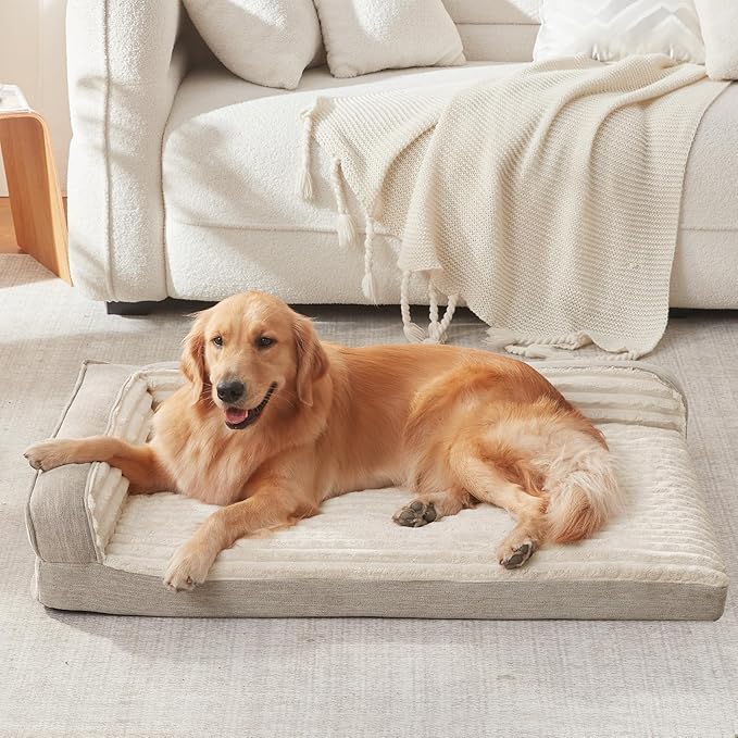 WINDRACING Orthopedic Dog Beds for Medium Dogs, Waterproof Egg Foam Dog Sofa Bed with L Bolster Sides, Washable Medium Pet Bed with Removable Cover & Non-Slip Bottom, 36 x 23 inch, Beige