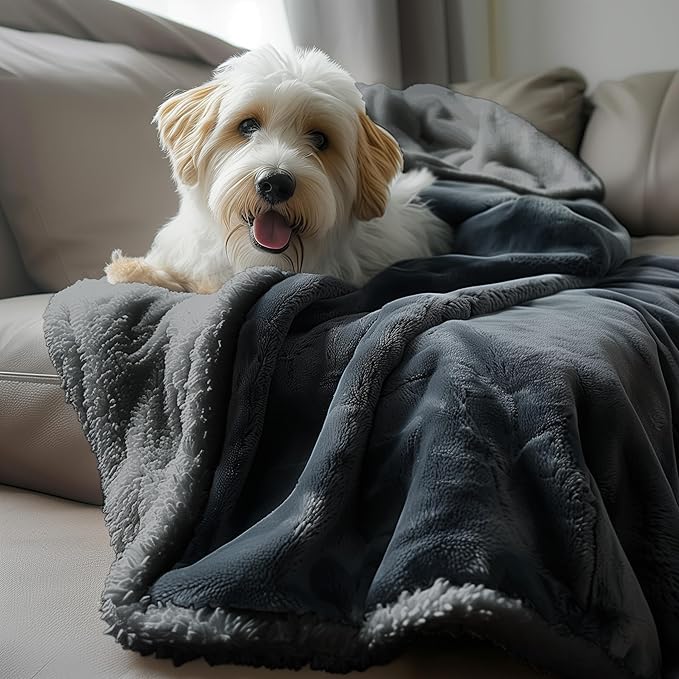 Bedding Aid Waterproof Queen Size Blanket - Sherpa Fleece Reversible Throw, Soft Warm Leak-Proof Bed & Couch Protector for Kids, Pets & Everyday Spills (Charcoal Grey/Silver Grey, Queen 90x90)