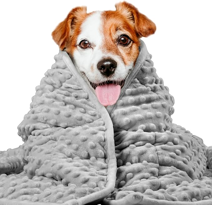 LaSyL Weighted Blanket for Pets | Thunder Blanket for Dogs Anxiety | Premium Soft Minky | Relaxation & Calming & Anti Anxiety | Used in Car, Bed, Couch | Dark Grey, Washable Large 40" L x 47" W