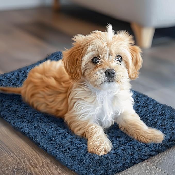 WITTOP Washable Dog Bed Plush Orthopedic Outdoor Crate Mat with Non-Slip Bottom,Luxe Soft Kennel Pad for Pets, Cozy Cage Cushion & Pet Sleeping Mattress Large Sized,Medium,Small Dogs,24 x 18 inch,Blue