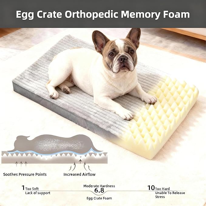 Small Dog Bed Sized Dogs, Orthopedic Flannel Pet Bed with Removable Washable Cover, Waterproof Indestructible Puppy Dog Cot Bed with Anti-Slip Bottom, Egg Crate Memory Foam Pad, 23.0"x17.0"x3.0", Grey