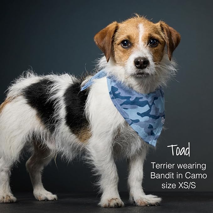 Pet Passion Bandit - The PET Bandana 100% Organic Cotton Pet Bandanas Clothes for Small, Medium, Large Dogs, 2-Pack Black Watch Plaid, Medium/Large