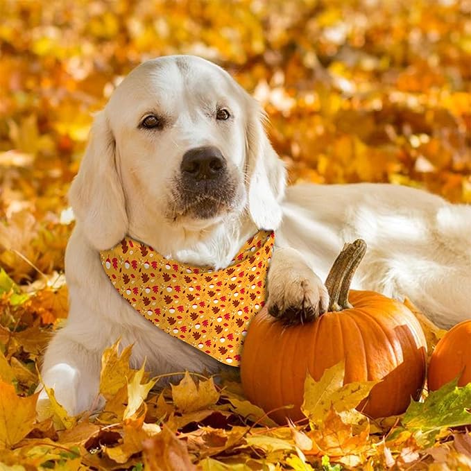 Fall Thanksgiving Dog Bandana Reversible 2 Pack Large, Pumpkin Turkey Leaves Fox Cute Thanksgiving Pet Bandanas for Dogs Adjustable Triangle Holiday Scarves for Medium Large Extra Large Boy Girl Dogs