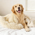 gogobunny Waterproof Dog Blanket for Large Dogs, Cats, Puppy, Reversible Faux Fur Pet Throw Blanket, Washable, Calming Furniture Protection for Sofa Bed (60x80 Inch (Pack of 1), Beige)