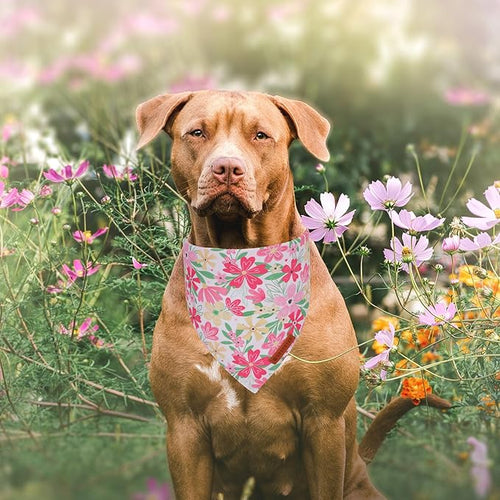 ADOGGYGO Floral Dog Bandanas 2 Pack, Triangle Reversible Pink White Flower Dog Scarf, Premium Durable Fabric, Pet Floral Bandanas for Large and Extra Large Dogs (X-Large)