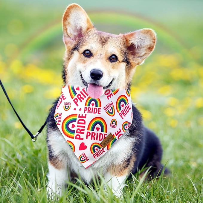 THLOH Pride Dog Bandanas - 2 Pack Reversible LGBT LGBT+ Pet Scarf for Boy and Girl | Premium Durable Fabric | Rainbow Bandana for Small Medium Large and Extra Large Dogs (Pride, Large)