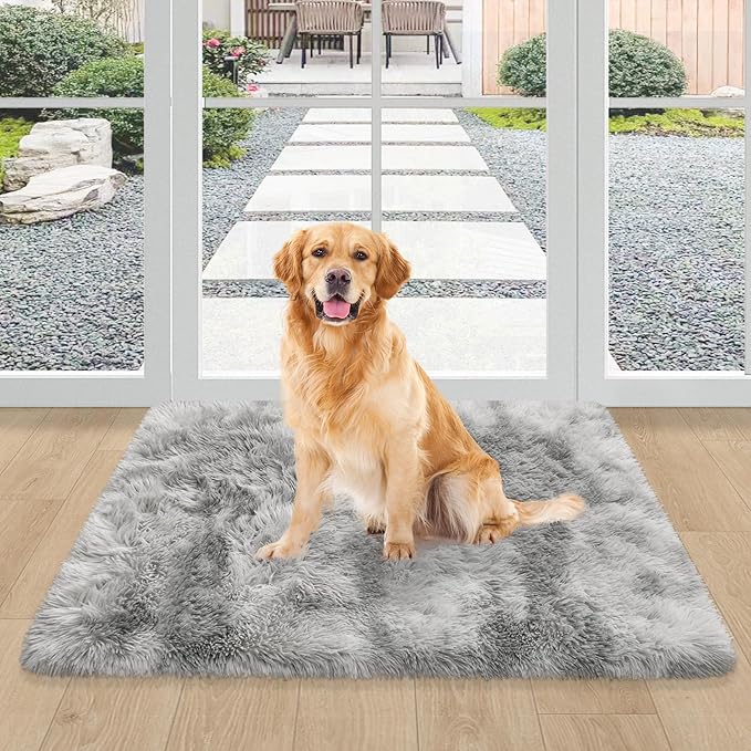 2x3 ft Shaggy Tie Dyed Grey Rug Small,Fluffy Furry Area Rugs for Living Room Door Entryway Indoor Inside Front Entrance Dog Mat Anti Skid Extra Comfy Fuzzy Floor Carpet for Home Decorative