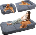 Foldable Human Dog Sofa Bed, 73x42x10 in Waterproof Corduroy Pet Bed with Egg Foam Mattress, Portable Dog Bed for Adults, Camping Indoor Use