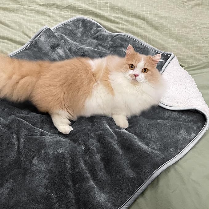 Yaning Waterproof Blanket for Bed Couch Sofa, Soft Liquid Pee Proof Pet Blanket for Dog Puppy Cat, Reversible Sherpa Fleece Furniture Protector (Dark Grey, 30x40 inches)