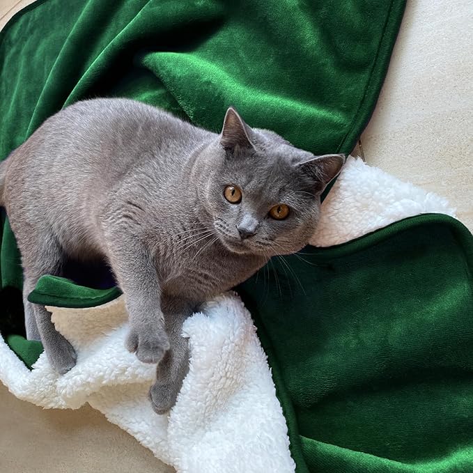 Yaning Waterproof Blanket for Bed Couch Sofa, Soft Liquid Pee Proof Pet Blanket for Dog Puppy Cat, Reversible Sherpa Fleece Furniture Protector (Green, 30x40 inches)