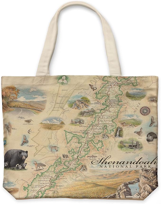 Xplorer Maps Canvas Tote Bag with Handles, Cloth Grocery Shopping Bag, Reusable & Eco-friendly Bag, 100% Cotton, Washable