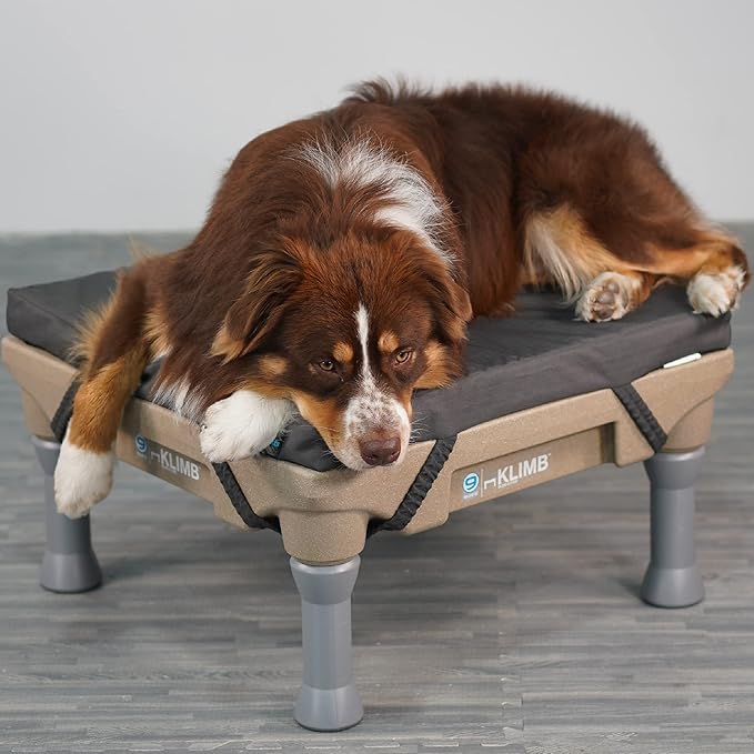 Blue-9 Pet Products Restore Dog Bed, Durable, Water Resistant, and Washable Design, 24” Square