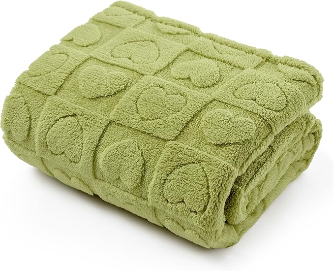 Bedsure Dog Blanket for Large Dogs Washable - Fluffy Fuzzy Puppy Cat Blanket with Premium 300GSM Coral Fleece Soft for Pet Kitten Doggy, Green, 40x50IN