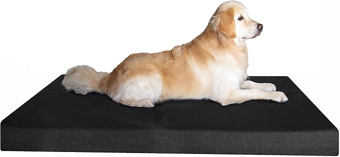 Dogbed4less Jumbo Orthopedic Gel Memory Foam Dog Bed, Waterproof Liner with Durable Washable Black Canvas Cover, 55X47X4 Inch