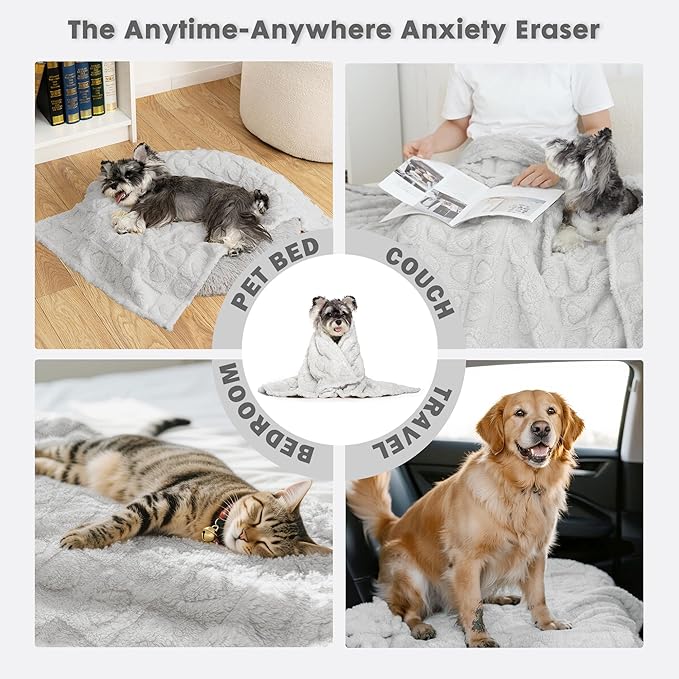 gogobunny Calming Plush Dog Cat Blanket 300GSM Coral Fleece, Ultra-Soft Machine Washable Pet Bedding for Small Medium Dogs Cats Puppies Kittens (Silver, 40x50)