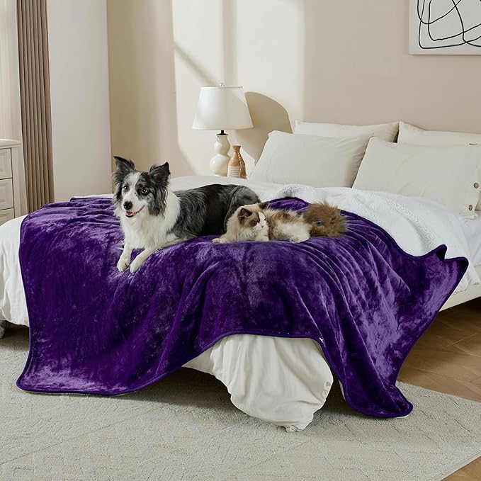 Yaning Waterproof Blanket for Bed Couch Sofa, Soft Liquid Pee Proof Pet Blanket for Dog Puppy Cat, Reversible Sherpa Fleece Furniture Protector (Dark Purple, 60x80 inches)