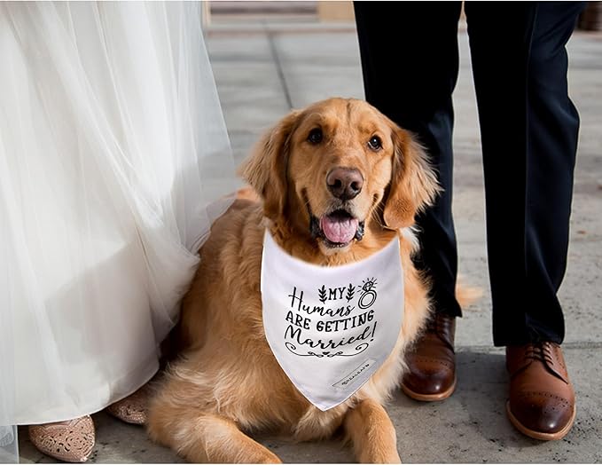 Realeaf Engagement Gift, My Humans are Getting Married Dog Bandana, Dog Wedding Outfit for Boy and Girl, Premium Durable Fabric, Dog Engagement Announcement for Large and Extra Large Dogs (X-Large)