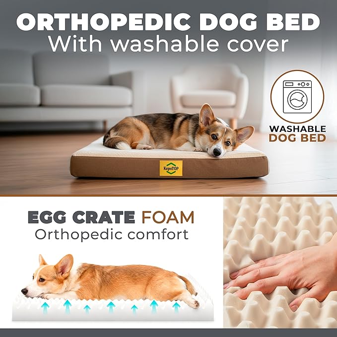 Medium Dog Bed Orthopedic | Cama para Perros | Crate Dog Bed Washable | pet beds for Medium Dogs | Puppy beds | Camas para Perros | Pet BeDs for Small Dogs
