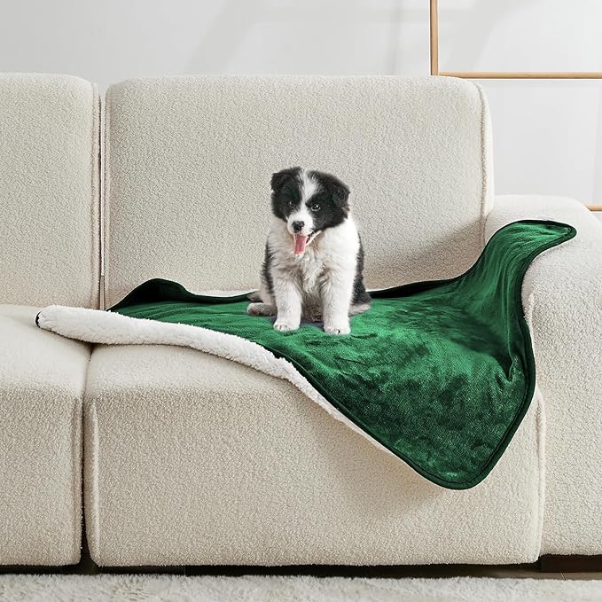 Yaning Waterproof Blanket for Bed Couch Sofa, Soft Liquid Pee Proof Pet Blanket for Dog Puppy Cat, Reversible Sherpa Fleece Furniture Protector (Green, 30x40 inches)