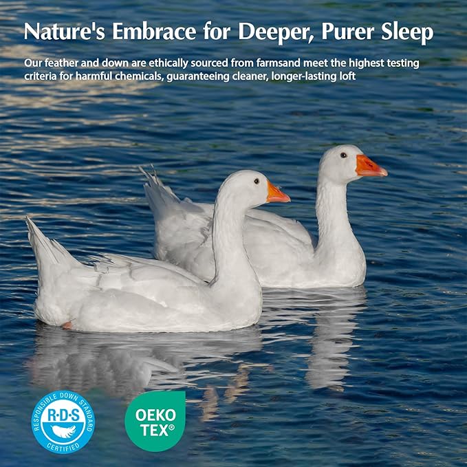 Pacific Coast Goose Feather Down Fiber Comforters Queen Size, Extra Fluffy White Duvet Insert, Ultra-Soft, Breathable, All Season Hotel Luxury Bedding Comforters, 8 Corner & Center Loops (90"x90")