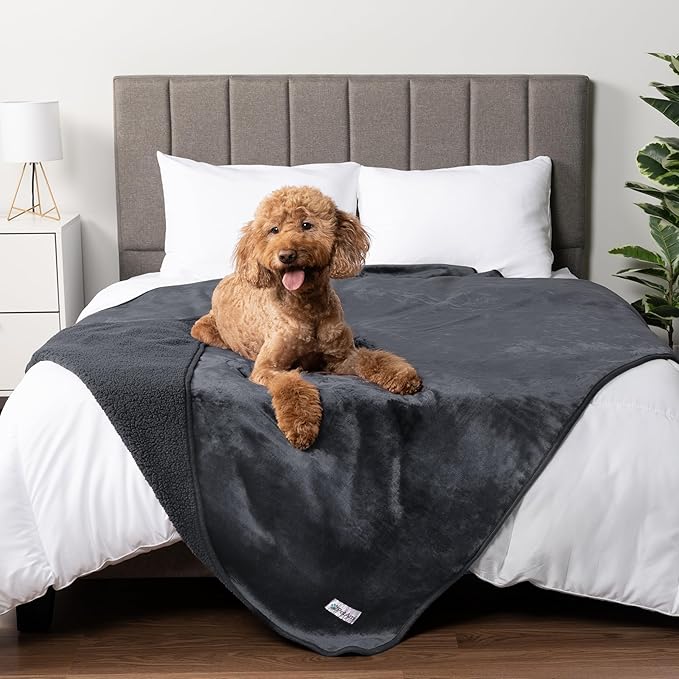 PetAmi Waterproof Dog Blanket Sherpa Fleece, Pet for Medium Large Dogs, Reversible Cat Throw Bed Couch Sofa Furniture Protector, Soft Plush Microfiber (Queen 90x90, Gray), Queen (90x90)