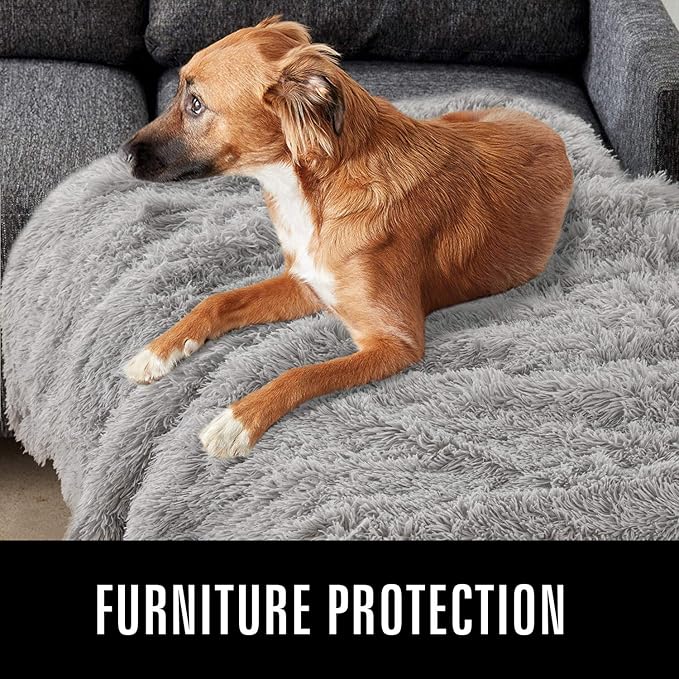 LOCHAS Luxury Fluffy Dog Blanket, Extra Soft and Warm Sherpa Fleece Pet Blankets for Dogs Cats, Plush Furry Faux Fur Puppy Throw Cover, 40''x60'' Grey