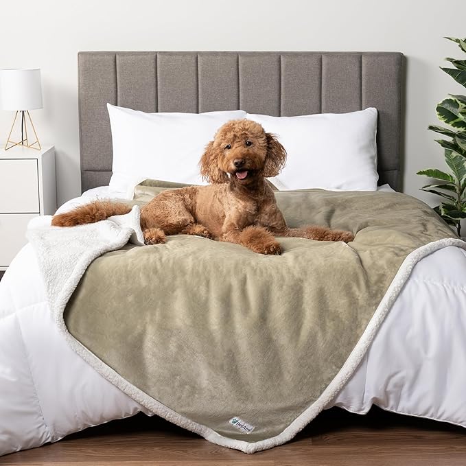 PetAmi Waterproof Dog Blanket for Medium Large XL Dog Puppy Cat Throw for Couch Cover Leakproof Protection, Sherpa Fleece, Reversible Soft Washable 80x60 Taupe