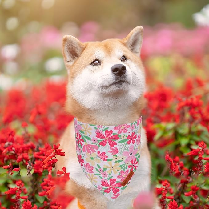 ADOGGYGO Floral Dog Bandanas 2 Pack, Triangle Reversible Pink White Flower Dog Scarf, Premium Durable Fabric, Pet Floral Bandanas for Medium Large Dogs (Large)