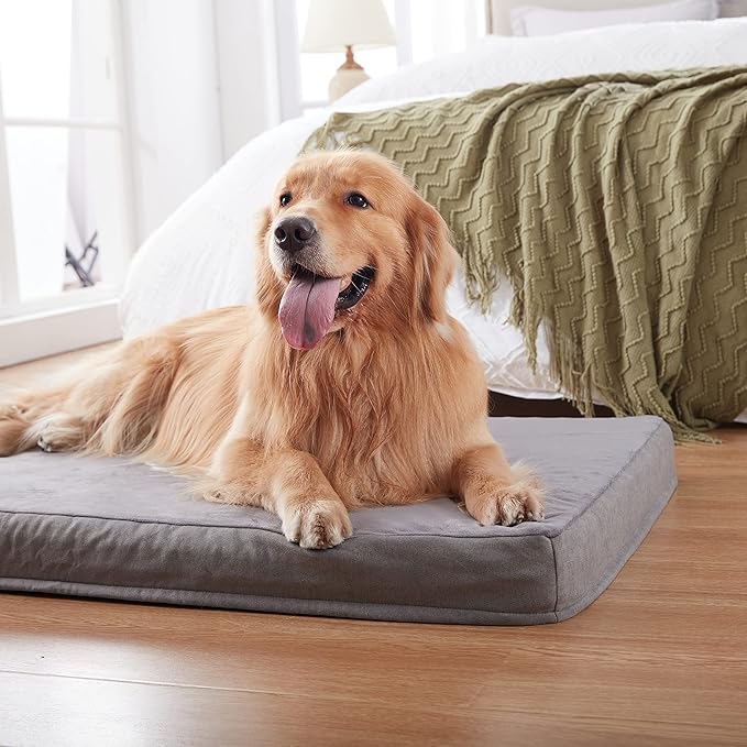 GOHOO PET Orthopedic Memory Foam Dog Bed, Cooling Dog Beds for Extra Large Dogs -Waterproof Pet Bed for Crate with Removable Washable Cover, XL(41inch,90Lbs)