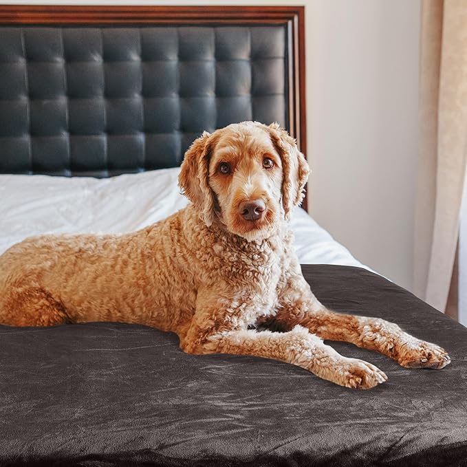 PETMAKER Dog Blanket - 60x80in Reversible Sherpa Blanket - Throw Blankets for Bed, Couch, or Car - Machine Washable Puppy Essentials (Charcoal)