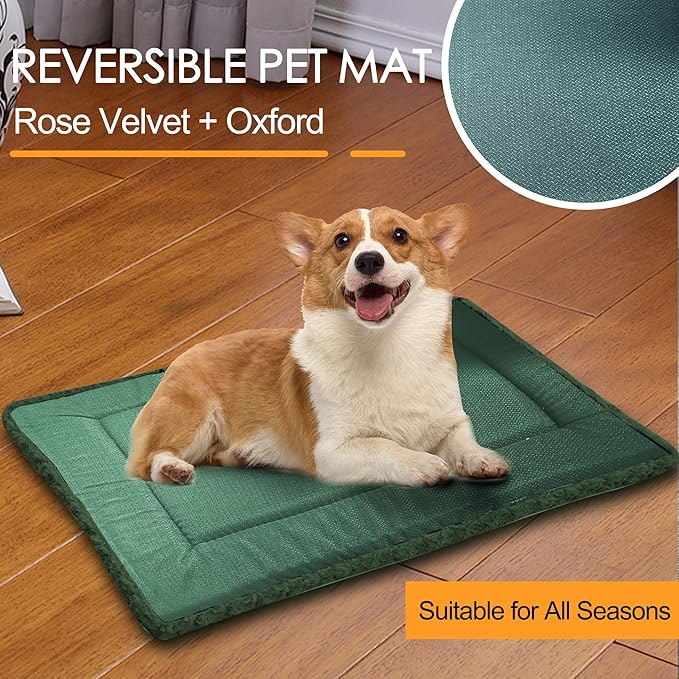 WITTOP Washable Dog Bed Plush Orthopedic Outdoor Crate Mat with Non-Slip Bottom,Luxe Soft Kennel Pad for Pets,Cozy Cage Cushion & Pet Sleeping Mattress Large Sized,Medium,Small Dogs,24 x 18 inch,Green