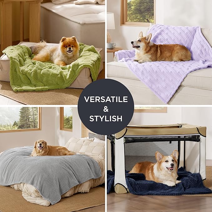 Bedsure Dog Blanket for Large Dogs Washable - Fluffy Fuzzy Puppy Cat Blanket with Premium 300GSM Coral Fleece Soft for Pet Kitten Doggy, Green, 40x50IN