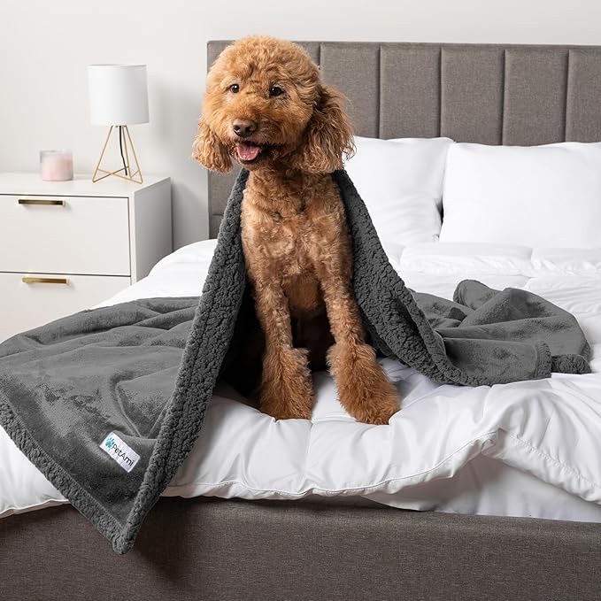 PetAmi Waterproof Dog Blanket for Medium Large XL Dog Puppy Cat Throw for Couch Cover Leakproof Protection, Sherpa Fleece, Reversible Soft Washable 80x60 Gray Gray