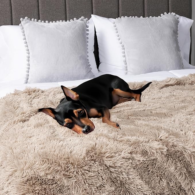 PetAmi Waterproof Dog Blanket for Large Dog, Calming Pet Blanket Bed Couch Cover Protector, Washable Sherpa Faux Fur Throw for Sofa Furniture Protection, Soft Fluffy 60x80 Taupe