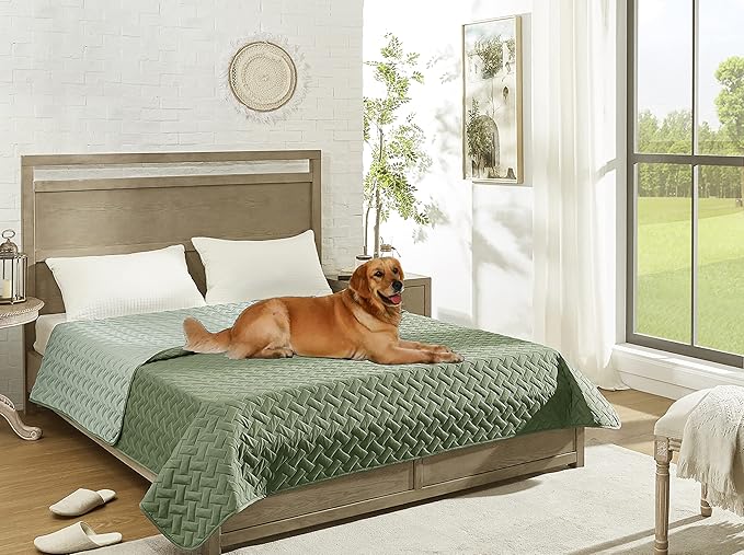 gogobunny 100% Double Sided Waterproof Dog Blanket Soft Pet Bed Cover Reversible Protect Furniture Couch Sofa Car for Puppy Cat Kids (Dark Green/Light Green, 52x82 Inch (Pack of 1))