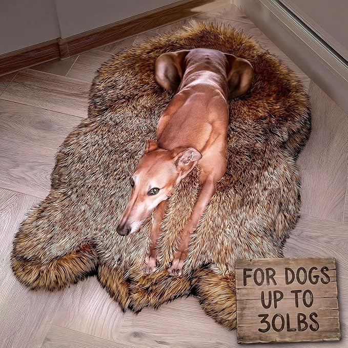 IHAPPYDOG Luxury Faux Fur Orthopedic Dog Bed, Memory Foam Dog Bed for Small, Medium, Large and XL Pets, Fluffy Pet Bed with Waterproof and Washable Cover (Brown, 40"x25")