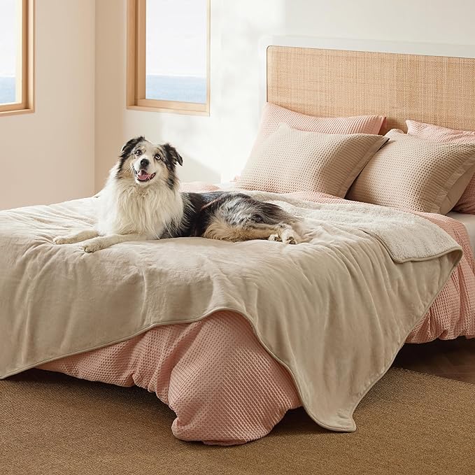 Bedsure Waterproof Dog Blankets for Extra Large Dogs - XL Cat Blanket Washable for Couch Protection, Sherpa Fleece Puppy Blanket, Soft Plush Reversible Throw-XL Furniture Protector, 50x70, Cream