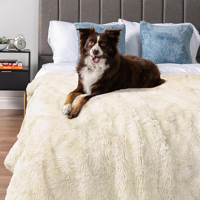 PetAmi Waterproof Dog Blanket for Large Dog, Queen Size Calming Pet Blanket Couch Cover Protector, Sherpa Faux Fur Cat Throw for Sofa Furniture Bed, Soft Fluffy XL, 90x90 Cream Beige