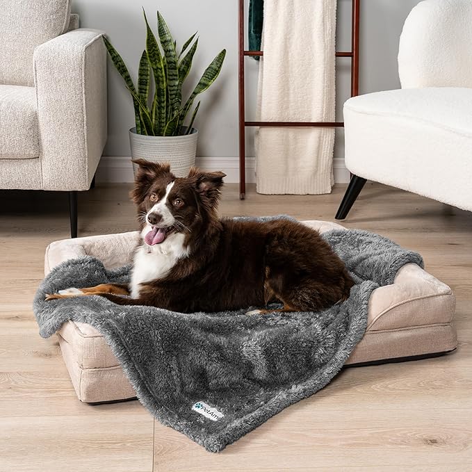 PetAmi Dog Blanket for Small Dogs Grey, Fluffy Soft Puppy Blanket, Sherpa Fleece Cat Blanket for Kitten Doggie, Calming Pet Blanket Throw for Couch Sofa Bed Washable, Small 24x32
