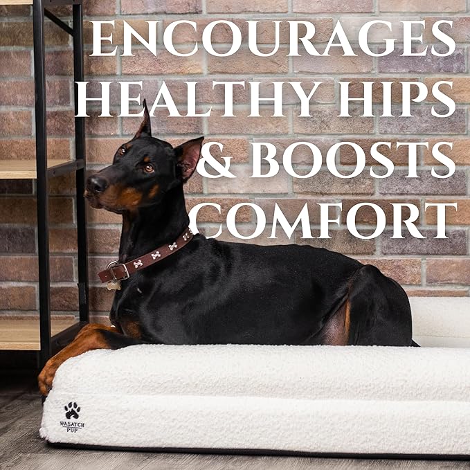 Wasatch Pup Luxury Boucle Fabric Orthopedic Large Dog Bed with Memory Foam | Breathable Comfort and Washable Dog Couch Bed with Waterproof Liner & Cover | Ideal Pet Beds for Big Dogs - Grey (45"x36x7)