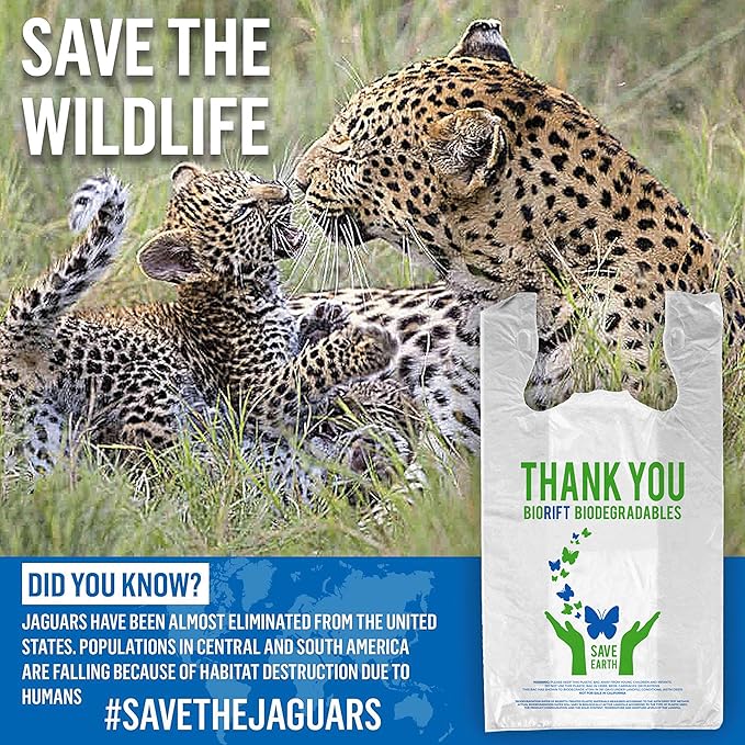 Biodegradable Thank You Bags | 1000 Count - Bulk | Extra Thick, Strong, Recyclable, & Reusable | 100% Biodegradable Shopping Bags, Grocery/Restaurant/Supermarket | 12" x 6.5" x 22" | Made in USA