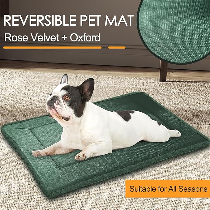 WITTOP Washable Dog Bed Plush Orthopedic Outdoor Crate Mat with Non-Slip Bottom,Luxe Soft Kennel Pad for Pets,Cozy Cage Cushion & Pet Sleeping Mattress Large Sized,Medium,Small Dogs,36 x 24 inch,Green