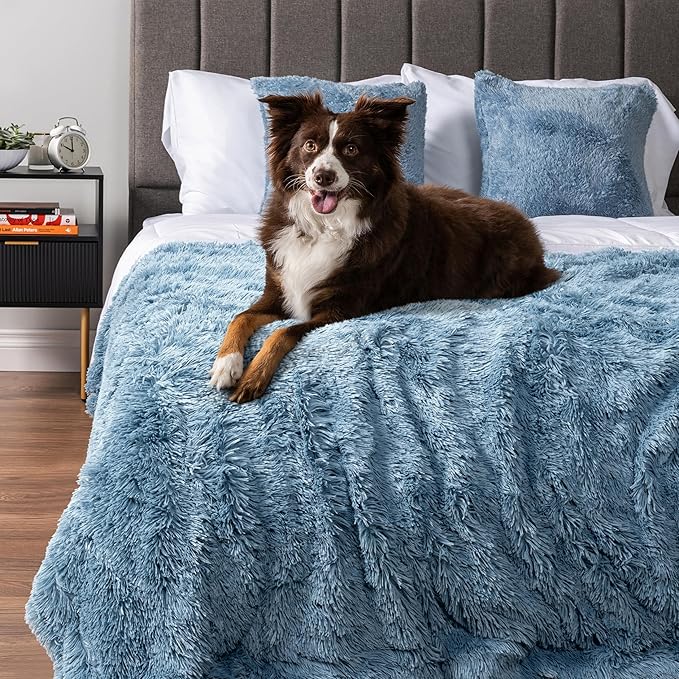 PetAmi Waterproof Dog Blanket for Small Medium Dogs, Calming Fleece Cat Blanket, Couch Protector Washable Sherpa Faux Fur Pet Throw for Puppy, Soft Reversible 29x40 Light Blue